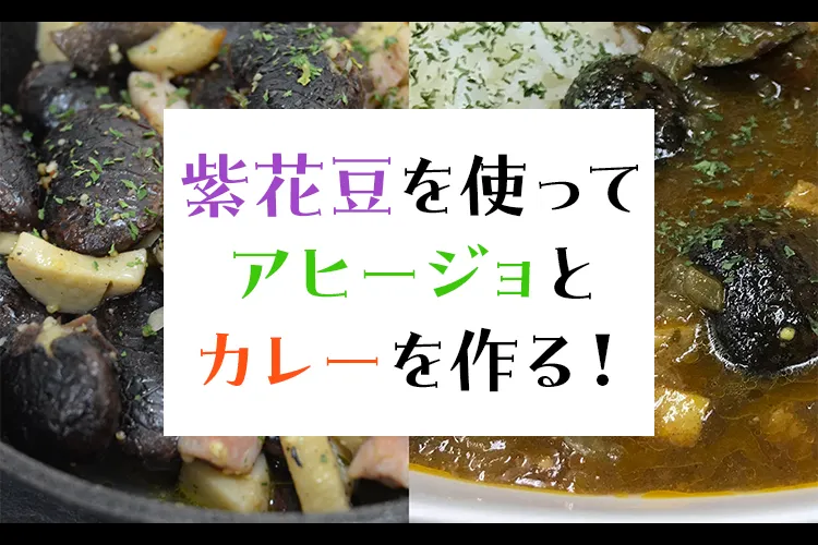 紫花豆を使ってアヒージョとカレーを作る！