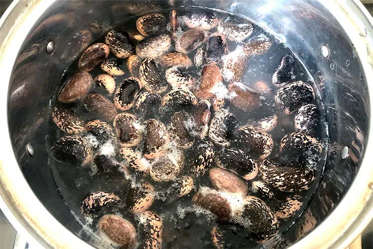 鍋で紫花豆を煮る様子