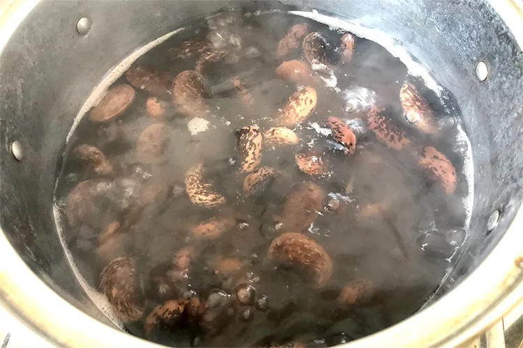 鍋で煮ていた紫花豆からアクが出てきた様子