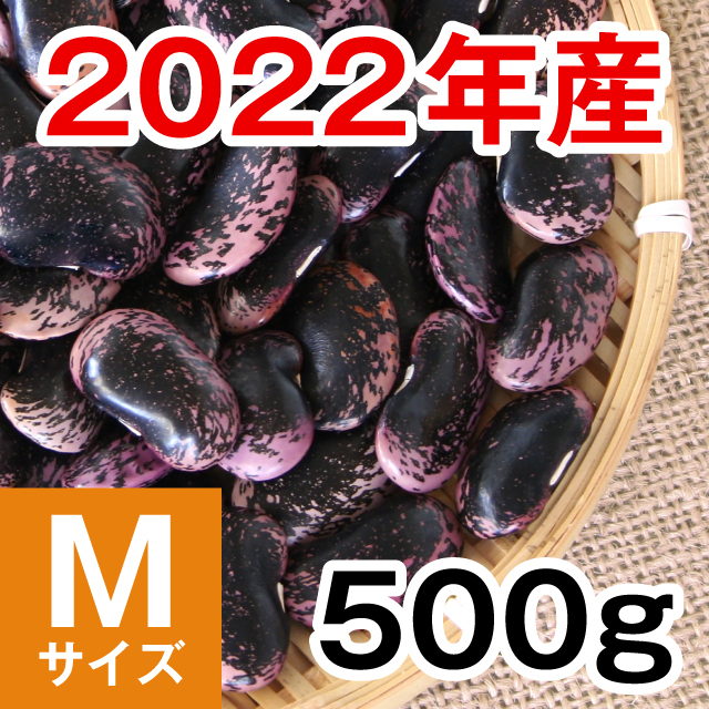 2022年産　紫花豆Mサイズ500g