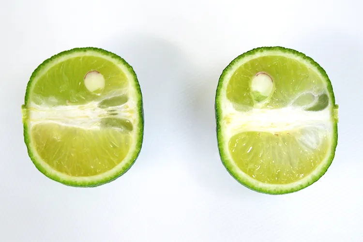 真っ二つに切られたすだちの断面