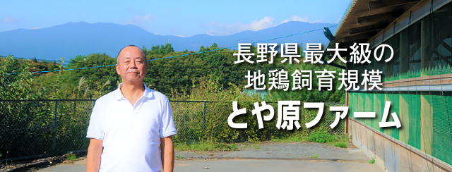 長野県最大級の地鶏飼育規模とや原ファーム